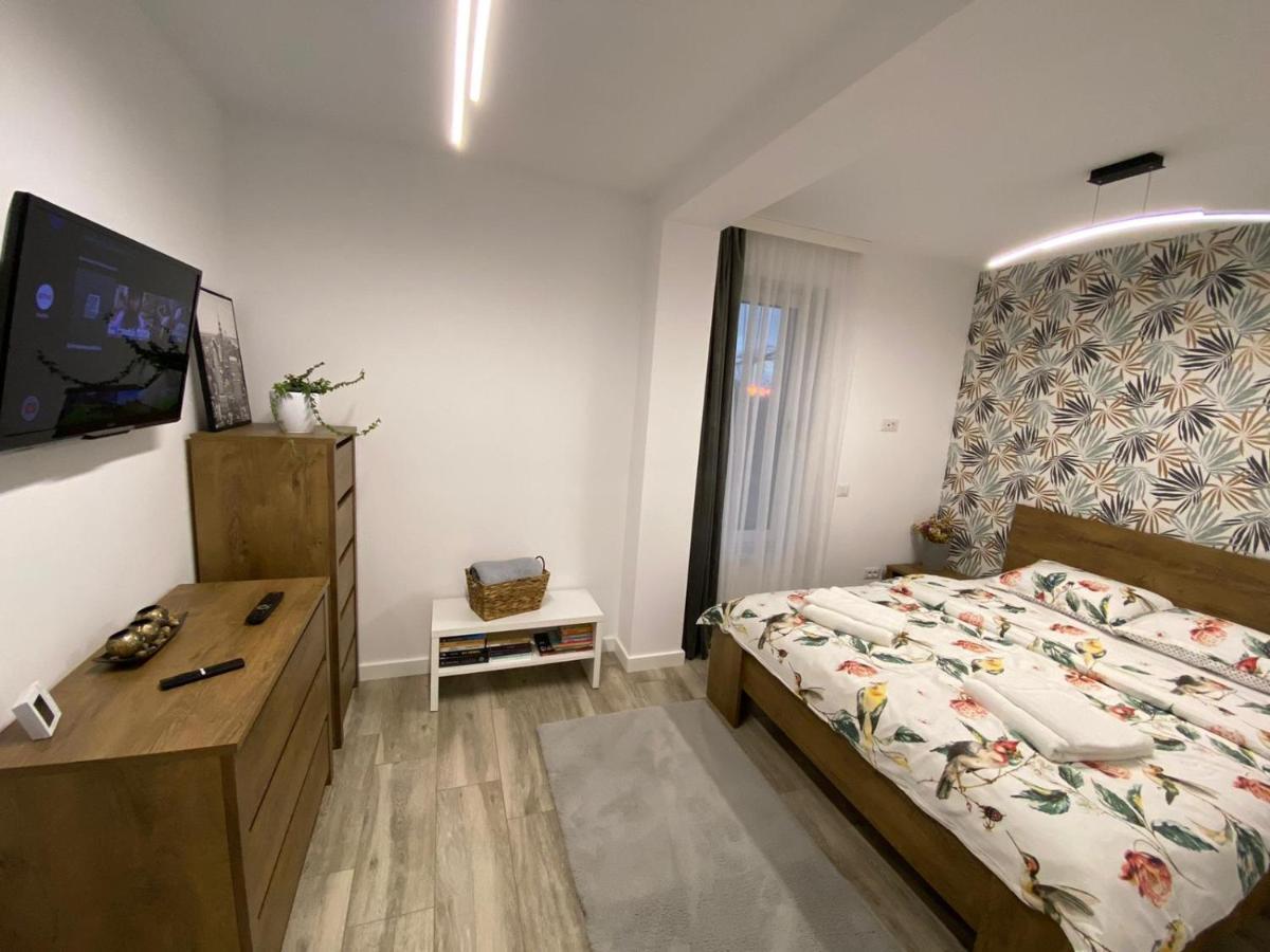Lora Studio Apartment Suceava Ngoại thất bức ảnh