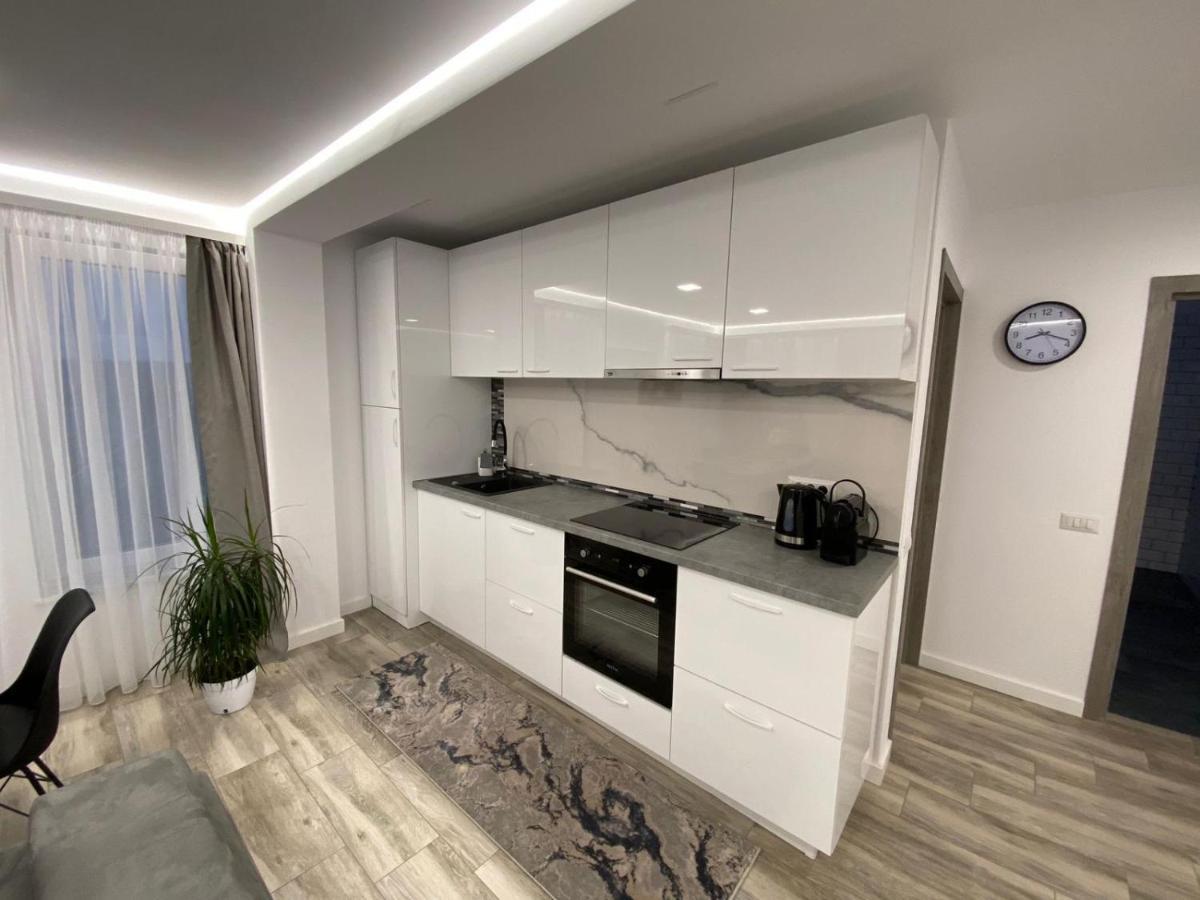 Lora Studio Apartment Suceava Ngoại thất bức ảnh