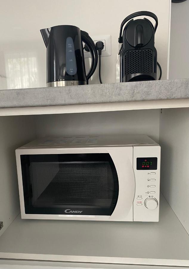 Lora Studio Apartment Suceava Ngoại thất bức ảnh